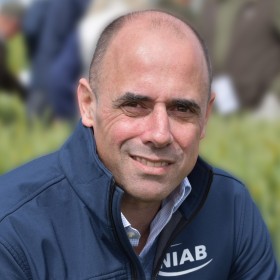 Professor Mario Caccamo | NIAB